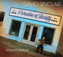 David Sinclair - Strange Paradise